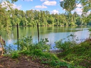 WIllamette River, River, River Frontage, Waterfront, Aquatic